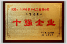 十强企业2013